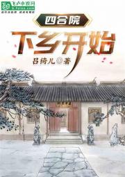 四合院：下乡开始