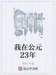 我在公元23年