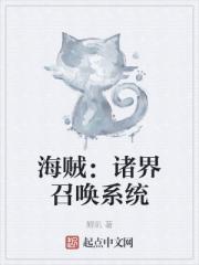 海贼：诸界召唤系统