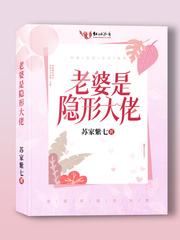 《老婆是隐形大佬》作者:苏家紫七