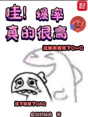 哇!爆率真的很高TXT下载